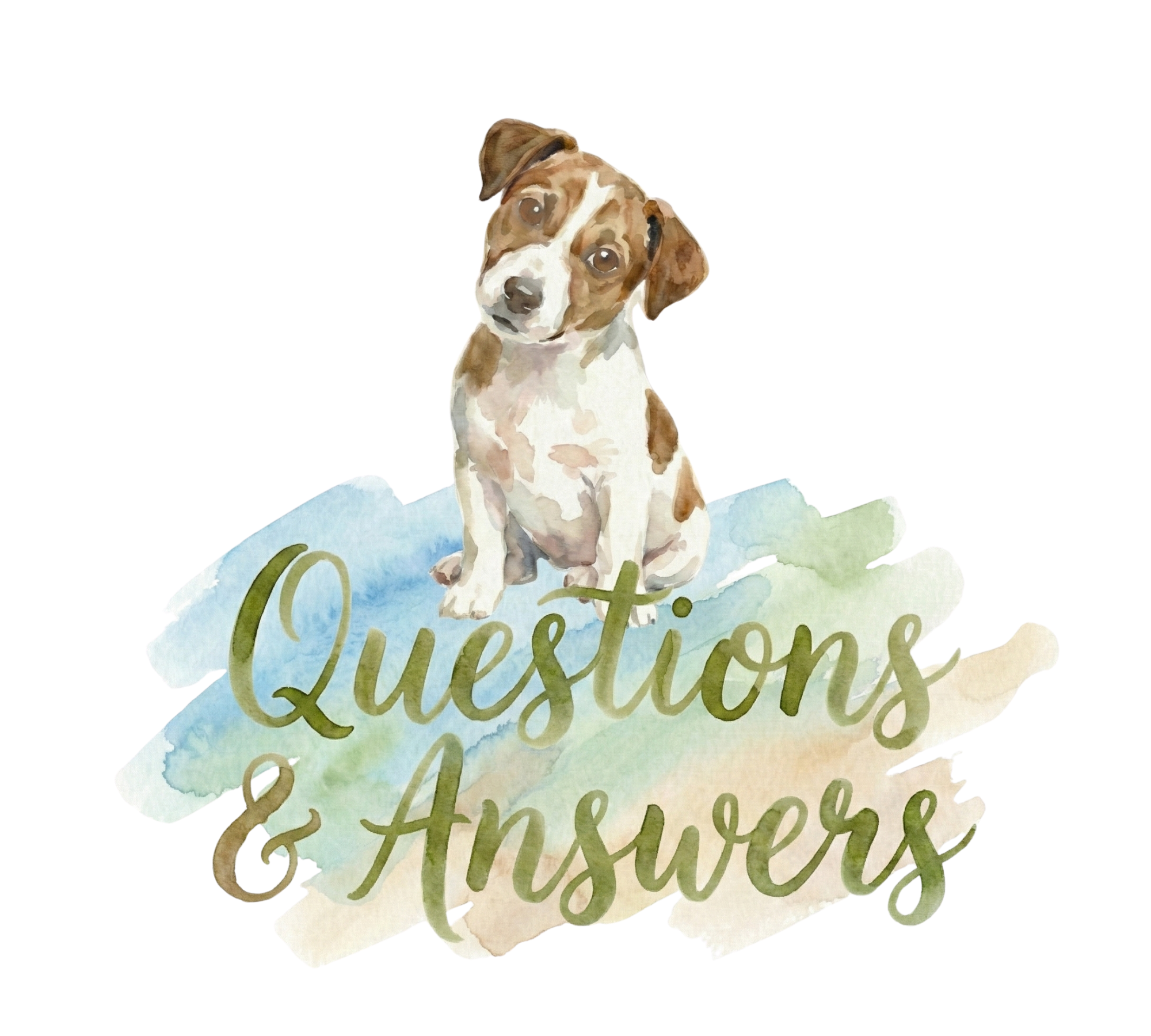 Questions & Answers